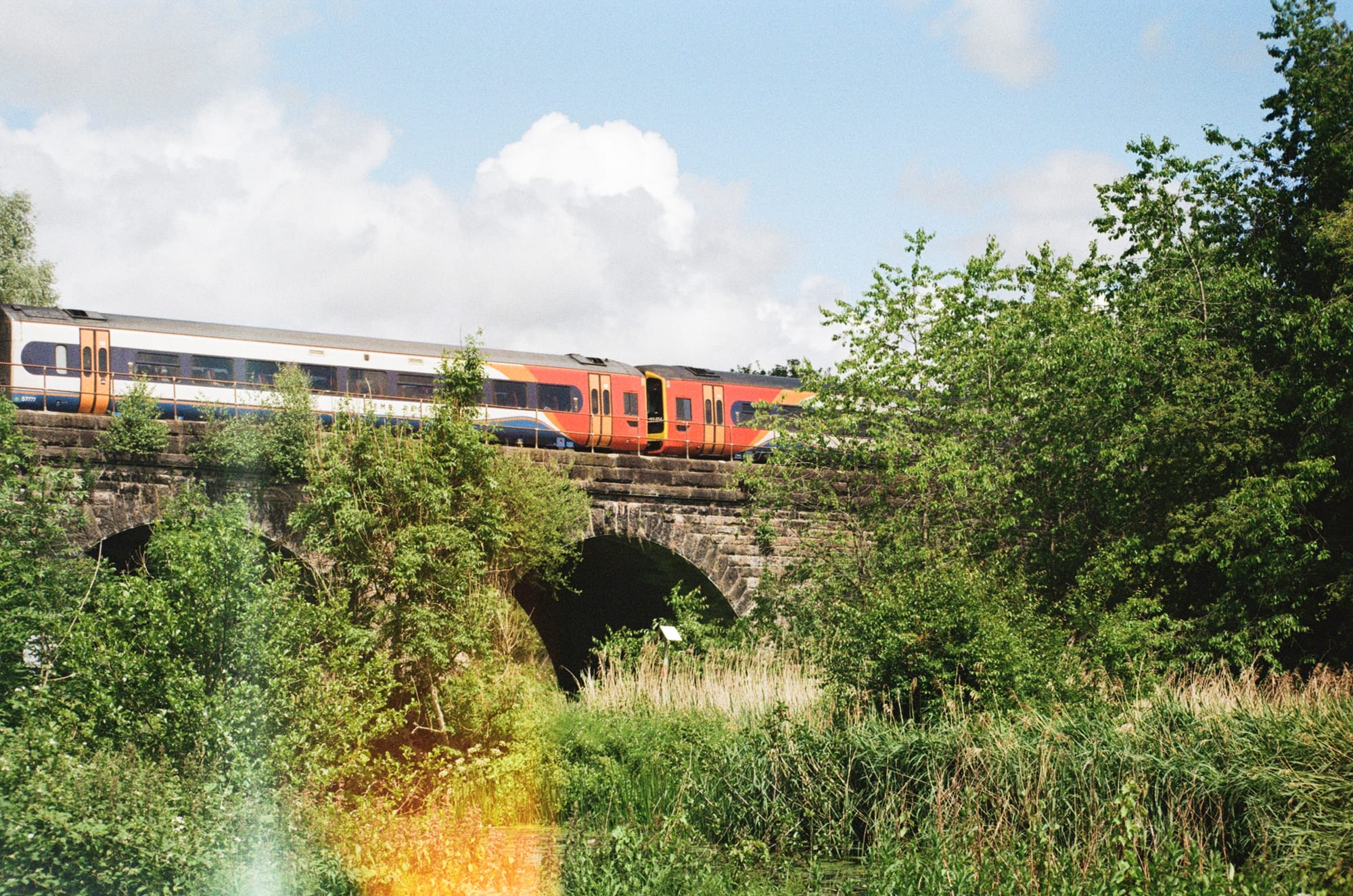 Film picture of a train moving on a bridge with lots of greenery surrounding the bridge