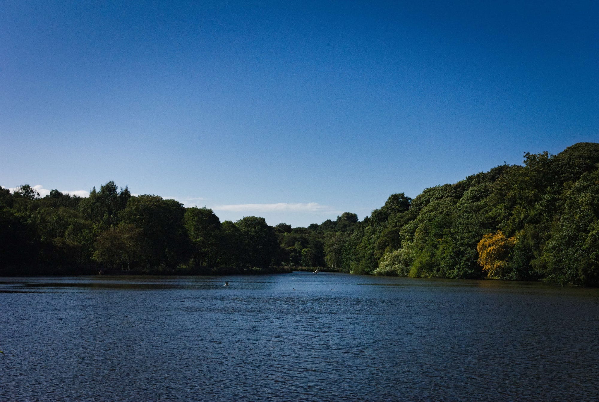 A scenic view of the Yarrow Valley country park